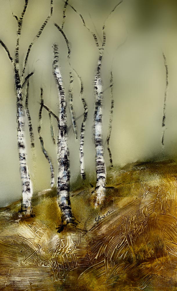 Birken | 2016 | © Klaus Frost